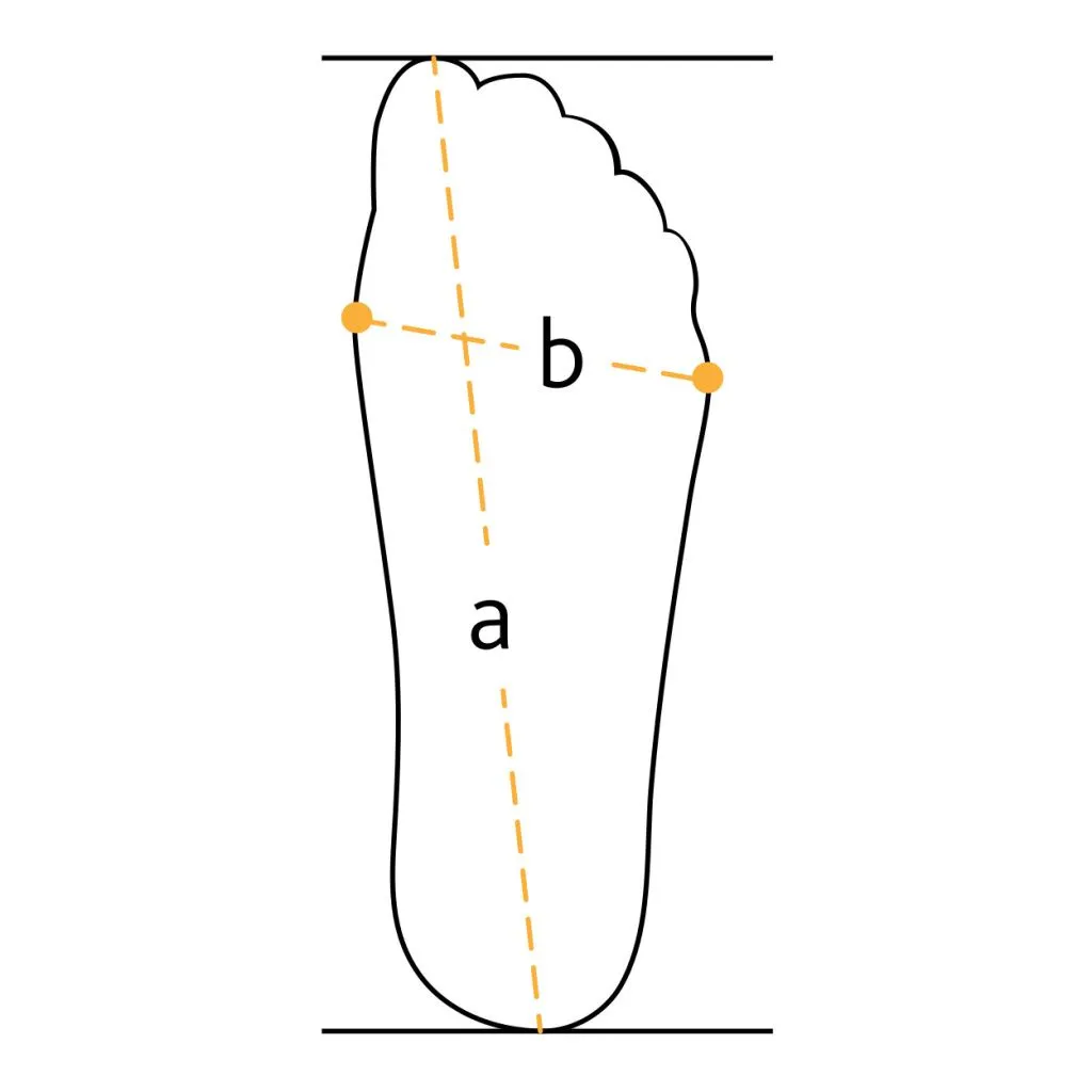 длина и ширина.jpg длина и ширина.jpg